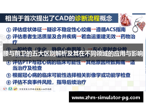 腰与前卫的五大区别解析及其在不同领域的应用与影响 腰与前卫的五大区别解析及其在不同领域的应用与影响