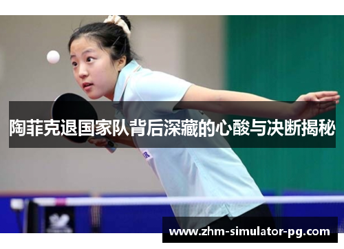 陶菲克退国家队背后深藏的心酸与决断揭秘 陶菲克退国家队背后深藏的心酸与决断揭秘