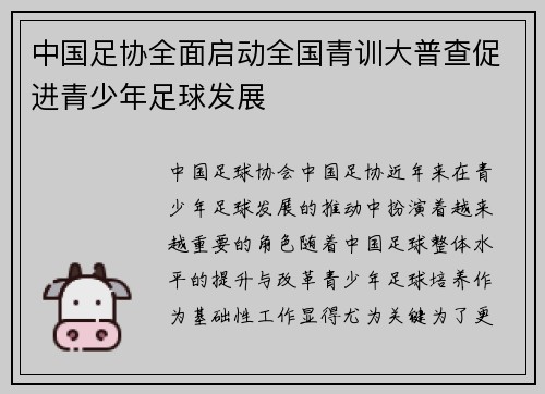 中国足协全面启动全国青训大普查促进青少年足球发展 中国足协全面启动全国青训大普查促进青少年足球发展